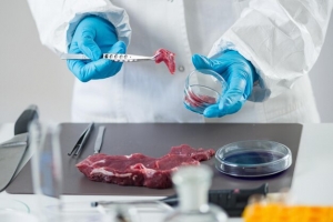 Protein Sequencing Market: Unlocking the Blueprint of Life