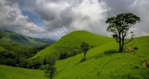 Kodachadri Trek: A Picturesque Trail in Western Ghats