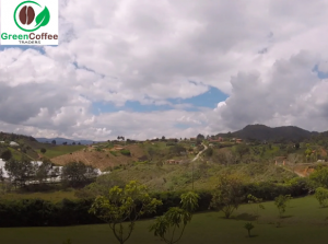 Why You Should Get Arabica Coffee Beans For Your Next Family Meetings?