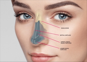 Understanding Rhinoplasty Costs in Los Angeles: What to Expect