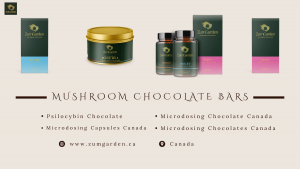 Why Are Canadians Choosing Magic Mushroom Chocolate Bars?