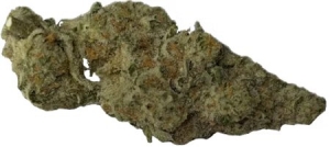 Full Metal Bitch Strain Review – Marshmallows with a Gasoline Twist