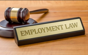 Employment Lawyer Houston: Protecting Your Workplace Rights