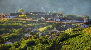 Why Kerala Should Be on Your Travel List for 2025