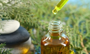 Best Rosemary Oil Manufacturer In India