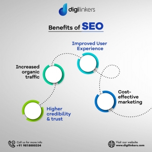 Digilinkers: Best SEO Company in Delhi for Effective Search Engine Optimization Services