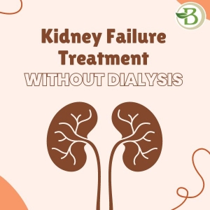 Select Bharat Homeopathy for All-Inclusive, Holistic Treatment of Kidney Failure