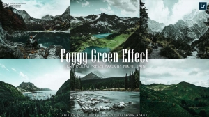Free Lightroom Preset Alert: Achieve a Mystical Foggy Green Effect in Seconds