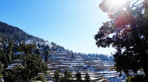 Brushstrokes and Bonfires: Artistic Homestays in Scenic Settings