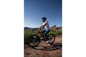 4 Tips for Biking with Your Dog
