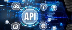 Security Best Practices for Managing Paid APIs in Digital Security Firms