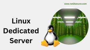 Unleash the Power of the Best Linux Dedicated Server with Net2Secure
