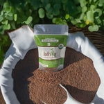 Wheat Grass Seeds for Sale: The Ultimate Guide to Quality and Health Benefits