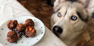 Can Dogs Eat Meatballs? 