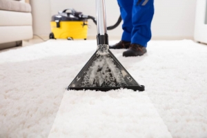 Revitalize Your Area Rugs with Expert Seaside Carpet Cleaning Services