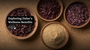 The Modern Guide to Dulse: One Superfood, Multiple Benefits