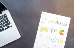 Advanced WordPress SEO Services by SEOTonic