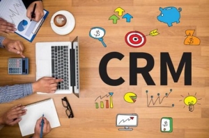 Best CRM, SEO and GMB Services in India by Zolexo Mart