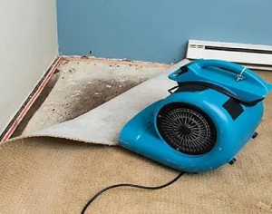 Essential Tools for Flood Cleanup and Restoration