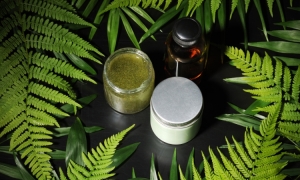 The organic cosmetic manufacturer in India 