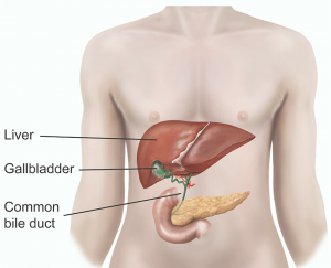 Laparoscopic Surgery in Riyadh: A Patient’s Guide to Minimally Invasive Healing
