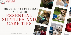 The Ultimate Pet First Aid Guide: Essential Supplies and Care Tips
