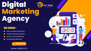 Grow Your Business with Net Bird IT Solutions: Future of Digital Marketing