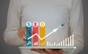 Search Engine Optimization (SEO)