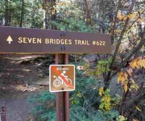Journey Through Nature: Exploring Colorado’s Peak to Peak Scenic Byway and Seven Bridges Trail