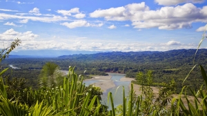 Explore the Untamed Beauty of the Amazon with Manu National Park Tours