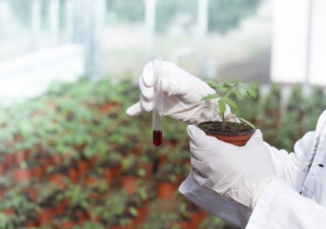 Agrochemicals Market Size, Share, and Trends: A Forward-Looking Report for 2025-2032