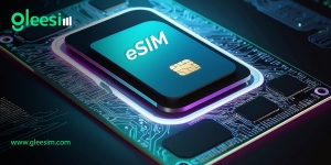 Best eSIM for Call and Text Abroad Stay Connected with Gleesim