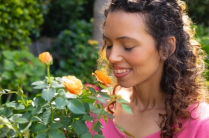 What is the Most Popular Flower in New York?