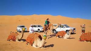Morning Desert Safari Dubai: A Magical Adventure in the Dunes
