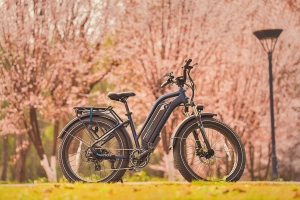 How to Ride an Electric Bike Safely and Comfortably in the Rain