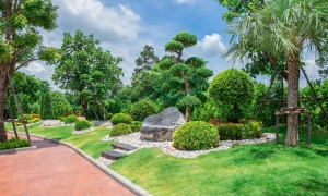 Top Hardscaping Services in Yardley, PA & Tree Removal in Feasterville-Trevose, PA