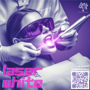 The Comprehensive Manual to a Dental Secretary Program
