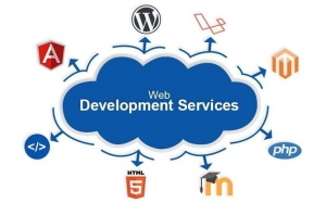 Best Software Web Development Services in India - Zolexo Mart