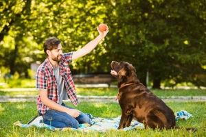 Choosing the Right Dog Trainer: Parts 1, 2, & 3