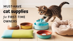 Must-Have Cat Supplies for First-Time Owners