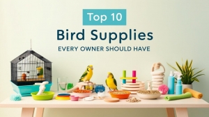 Top 10 Bird Supplies Every Owner Should Have