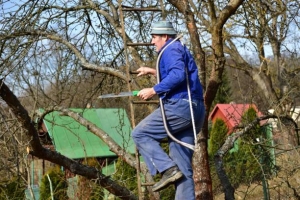 Pole Saw & Tree Trimmer Market Growth Drivers and Challenges (2025-2034)