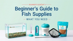 Beginner’s Guide to Fish Supplies: What You Need