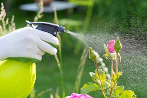 Global Aerosol Insecticide Market Size and Share Analysis (2025-2034)