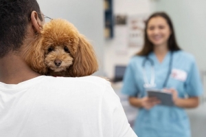Why Invest in Veterinary Staffing Solutions like Call Handling and Triage?