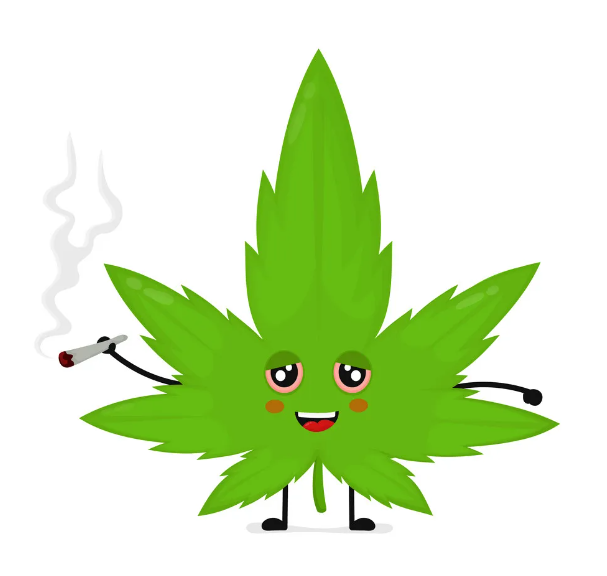 Shop BudsandBeyond