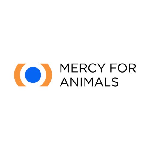 India Mercy For Animals