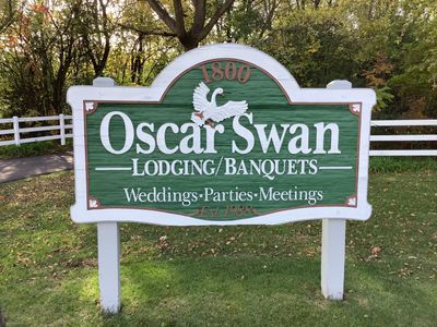 The Oscar  Swan