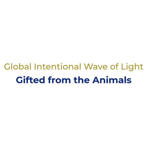 Light Global Intentional Wave of 