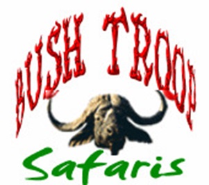 Bushtroop Tours   & Safaris